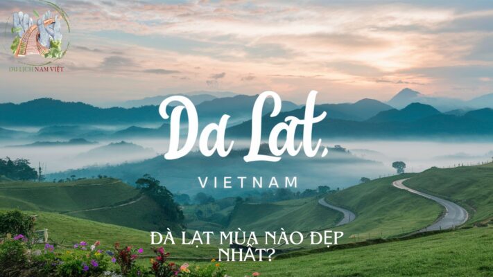 Đà Lạt Mùa Nào Đẹp Nhất? Khám Phá Vẻ Đẹp 4 Mùa Của Thành Phố Ngàn Hoa