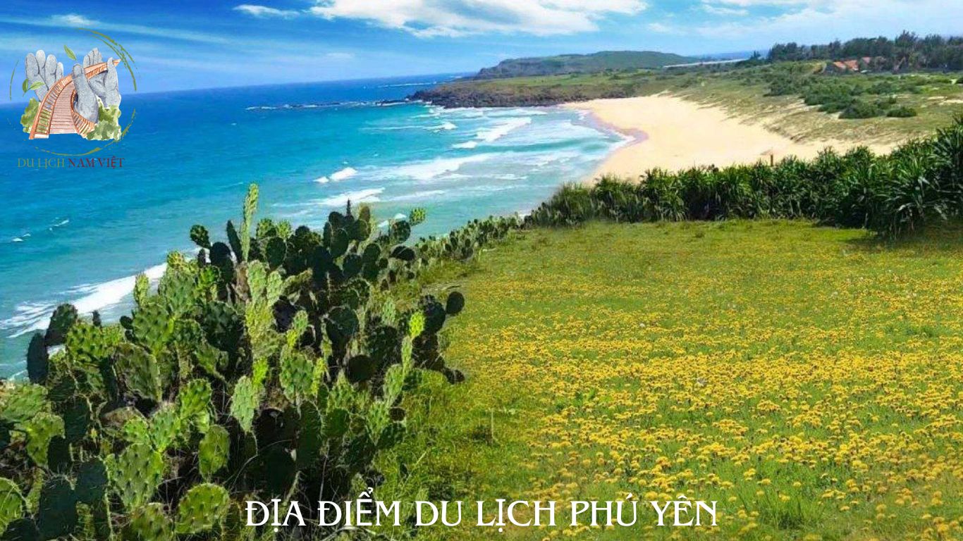 Địa Điểm Du Lịch Phú Yên